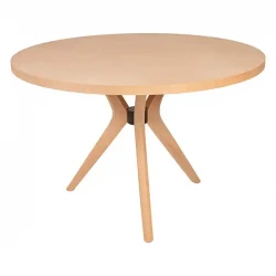 Поли Маса 120'Лик